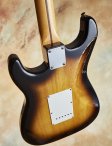 Fender-buddyholly-15