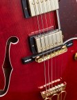 Gibson-byrdland-10