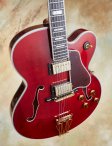 Gibson-byrdland-13