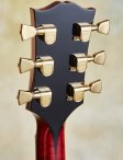 Gibson-byrdland-18