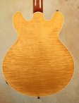 collings-i35-04
