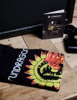 Sundragon-jimmypage-10