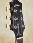 Collings-i35-vintage-16