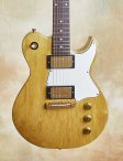 Gustavsson-futuremaster-ii-02