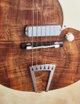 Yanuziello-electric-10