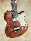Yanuziello-electric-15