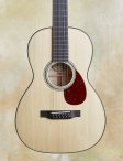 Collings-03-g12-02