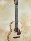 Collings-03-g12-05