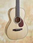 Collings-03-g12-06
