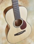 Collings-03-g12-16