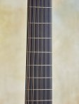 Collings-03-g12-18