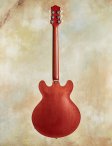 Collings-i35lc-03
