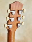 Collings-lc-19