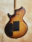 Sadowsky-chuckloeb-ls13-08