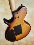 Sadowsky-chuckloeb-ls13-14