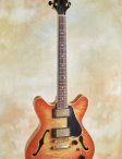 Ribbecke-testadura-05