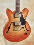 Ribbecke-testadura-06