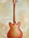 Ribbecke-testadura-07