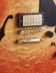 Ribbecke-testadura-10