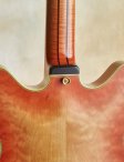 Ribbecke-testadura-11