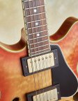 Ribbecke-testadura-12