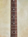 Ribbecke-testadura-17