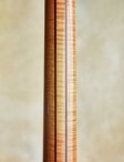 Ribbecke-testadura-18