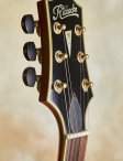 Ribbecke-testadura-19