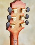 Ribbecke-testadura-20