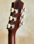 Collings-i35lc-vintage-19
