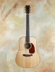 Collings-d1-t-01