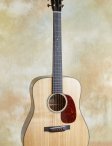 Collings-d1-t-05