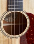 Collings-d1-t-11