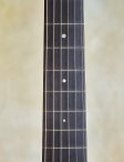 Collings-d1-t-16