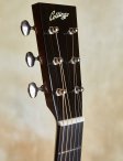 Collings-d1-t-18