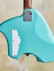 Steveklein-customelectric-04
