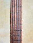 Sadowsky-electricnylon-16