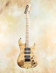 Sadowsky-buckeyeburl-01