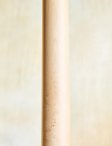 Sadowsky-buckeyeburl-17