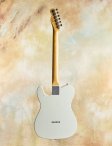 Fender-jimmypagesig-03