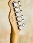 Fender-jimmypagesig-19