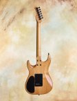 Sadowsky-s-style-03