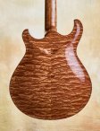 Artinger-sapelehollowbody-04