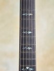 Artinger-sapelehollowbody-20