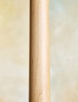 Sadowsky-t-stylecustom-17