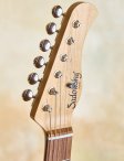 Sadowsky-t-stylecustom-18