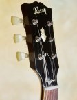 Gibson-wildwoodspeces-335-18