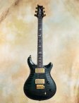 Prs-mccartyartist10thanniv-01