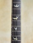 Prs-mccartyartist10thanniv-14