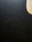 Gibson -1974lespaulcustom-15